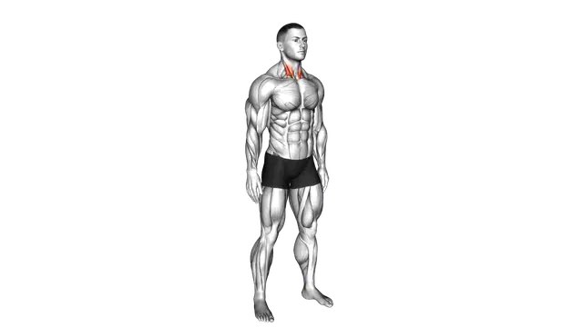 Backward Neck Stretch exercise demonstration