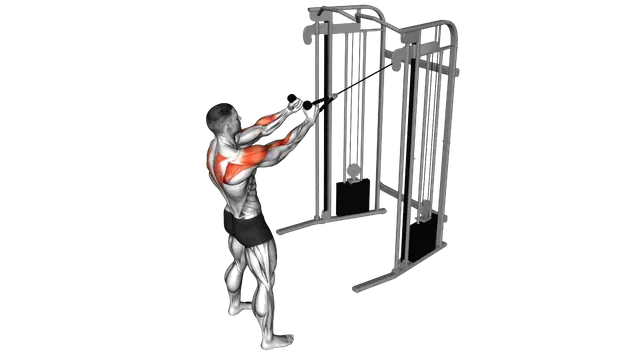 Cable Standing Supinated Face Pull (with rope) exercise demonstration