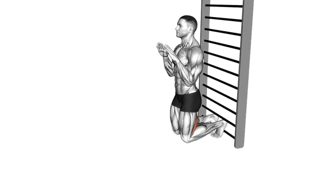 Nordic Hamstring Curl exercise demonstration