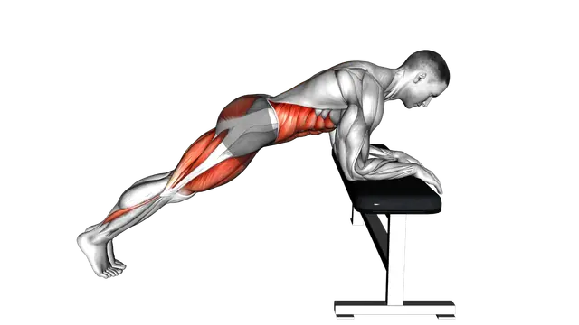 Mountain Climber over Bench exercise demonstration