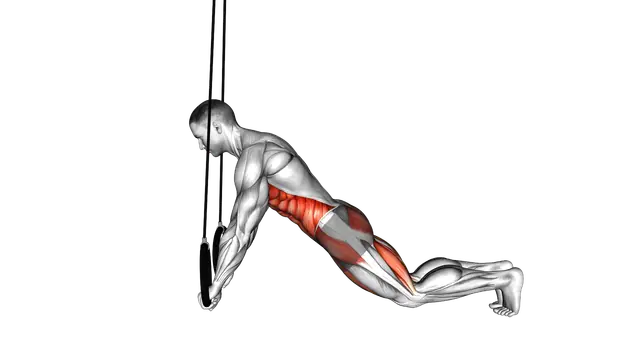 Ring Plank exercise demonstration