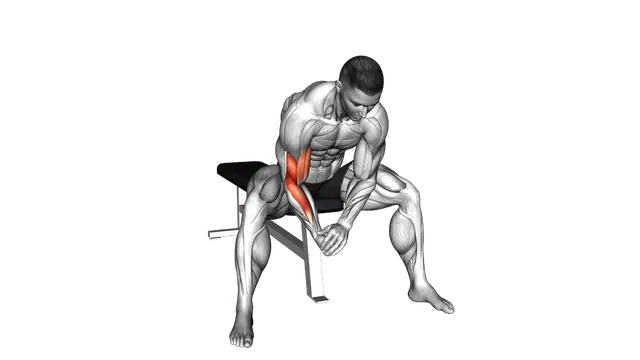 Bodyweight Seated Single Arm Concentration Curl exercise demonstration