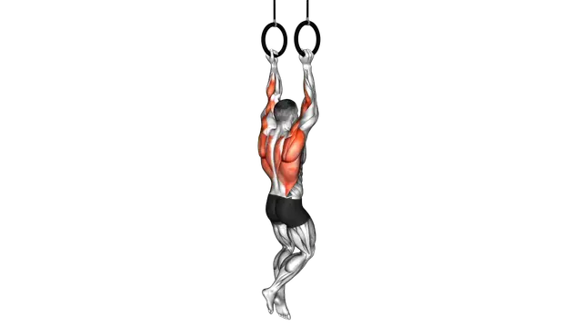 Ring Neutral Grip Chin Up exercise demonstration