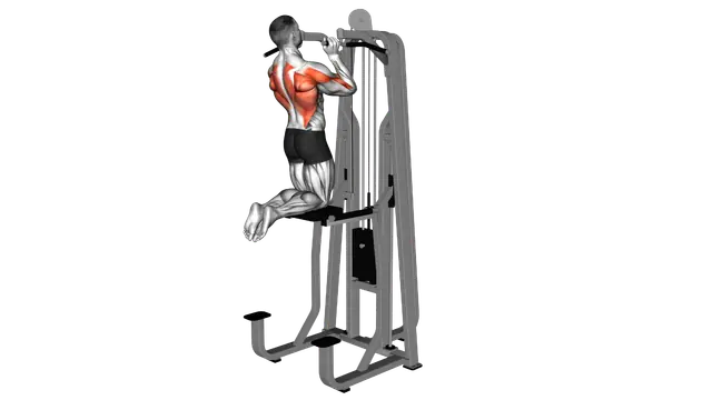 Lever Assisted Neutral Grip Chin Up exercise demonstration