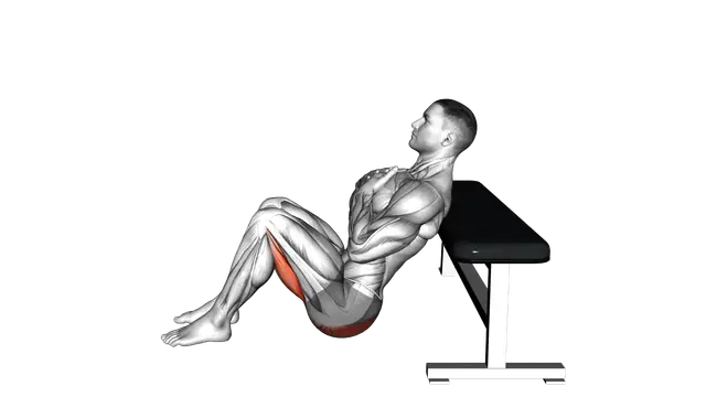 Glute Bridge from Bench exercise demonstration