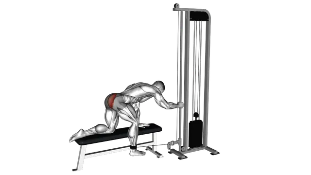 Cable Kneeling Glute Kickback exercise demonstration