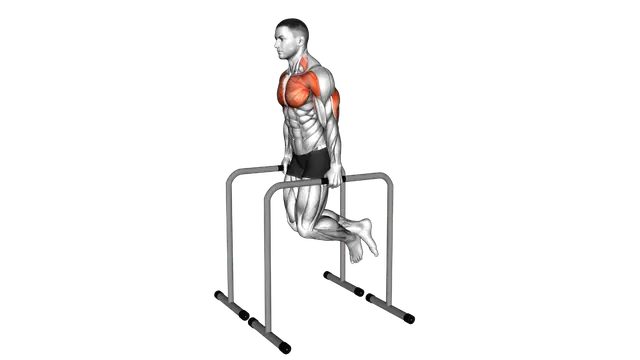 Triceps Dip on High Parallel Bars exercise demonstration