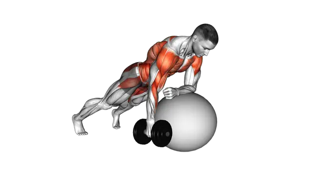 Dumbbell Renegade Row on Stability Ball exercise demonstration