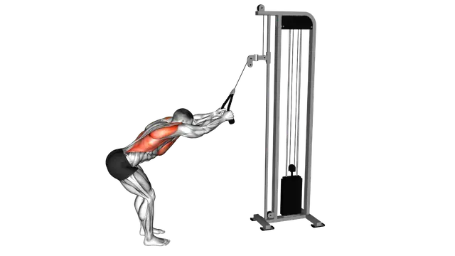 Cable Straight Arm Pulldown (with rope attachment) exercise demonstration