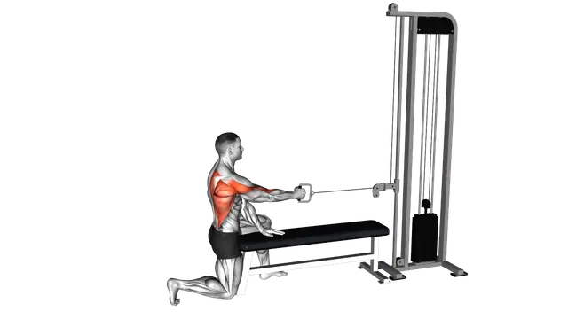 Cable Half Kneeling Single Arm Row (ma exercise demonstration