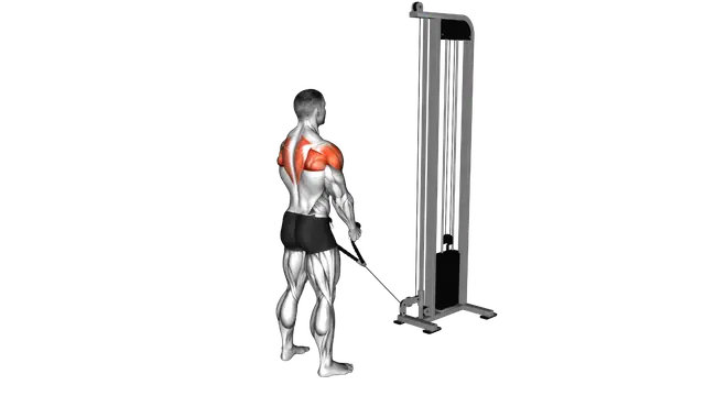 Cable Standing Y raises (with rope attachment) (ma exercise demonstration