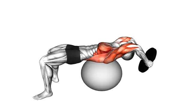 Weighted Plate Pullover on Stability Ball exercise demonstration