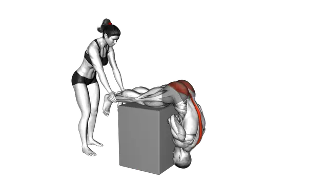 Assisted Hyperextension exercise demonstration