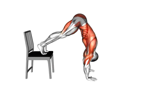Elevated Plank Walkout with a Chair exercise demonstration