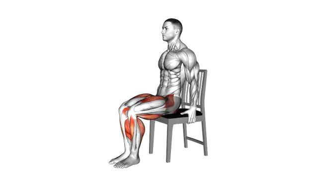 Seated Heel Slide on a Chair exercise demonstration