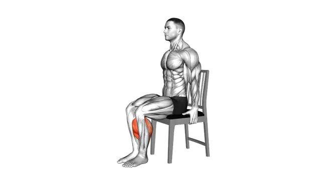 Seated Calf Raise on a Chair exercise demonstration