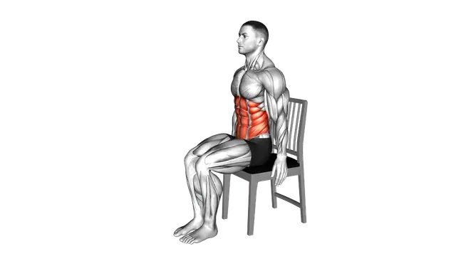 Seated Forward Bend Stretch on a Chair exercise demonstration