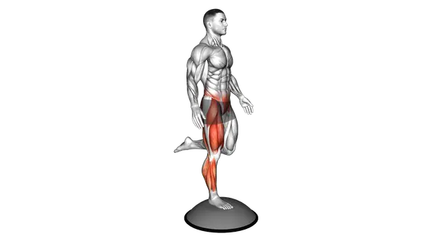 Bosu Ball Balance Counterbalanced Skater Squat (ma exercise demonstration