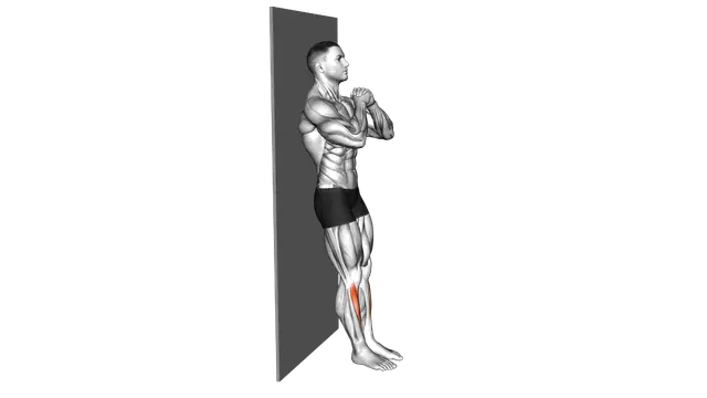 Bodyweight Tibialias Raise Wall Supported exercise demonstration