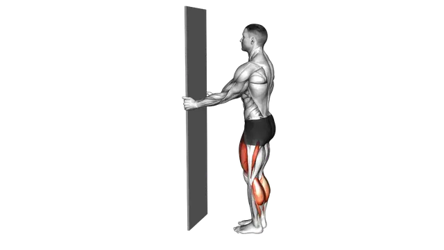 Bodyweight Half Sissy Squat Wall Supported exercise demonstration