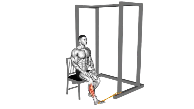Resistance Band Seated Eversion Foot exercise demonstration