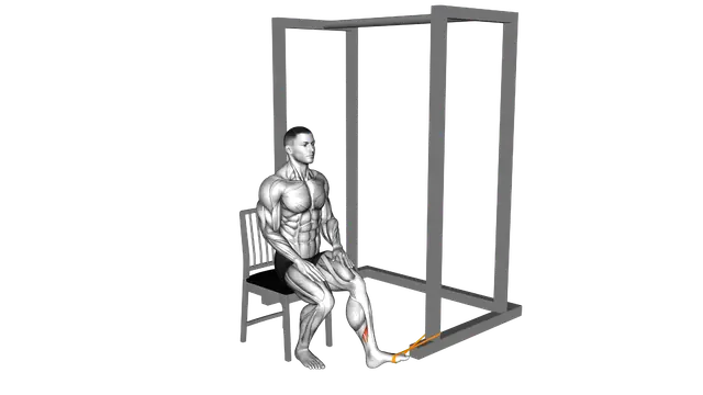 Resistance Band Seated Inversion Foot exercise demonstration