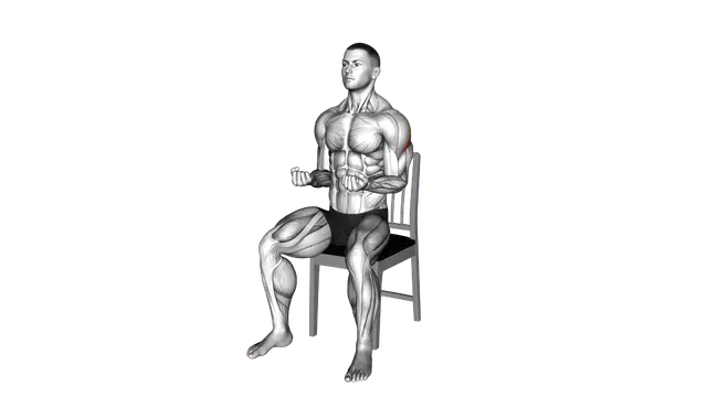 Seated External Rotation on a Chair exercise demonstration