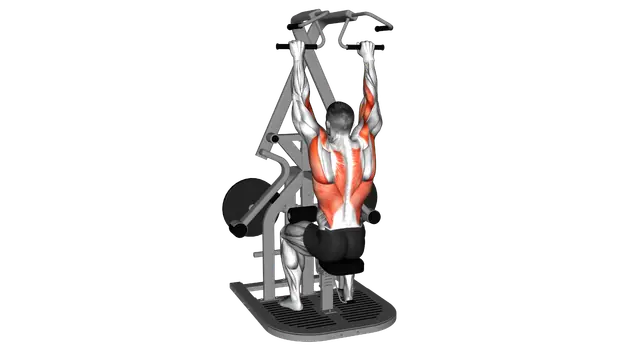 Lever Seated Wide Lat Pulldown exercise demonstration