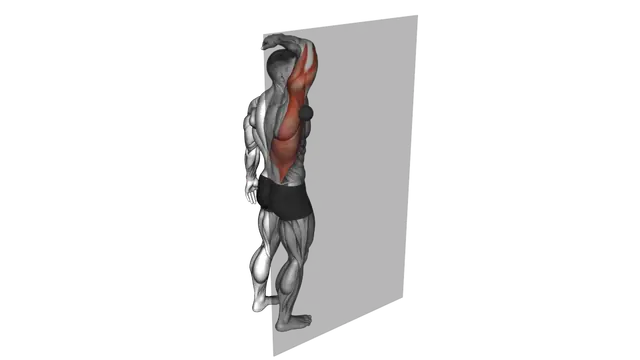 Roll Ball Triceps Latissimus Dorsi Stretch exercise demonstration