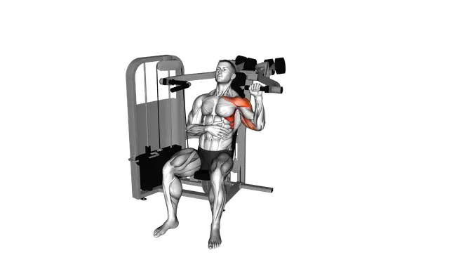 Lever Seated Single Arm Shoulder Press exercise demonstration