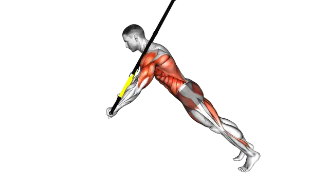 Suspender Chest Press to Rollout exercise demonstration