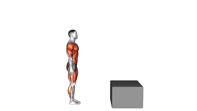 Burpee Jump Box exercise demonstration