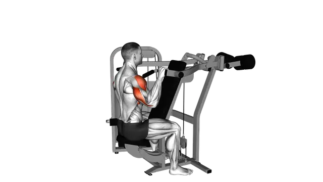 Lever Reverse Seated Shoulder Press exercise demonstration