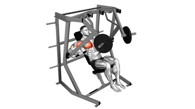 Lever Decline Single Arm Chest Press exercise demonstration
