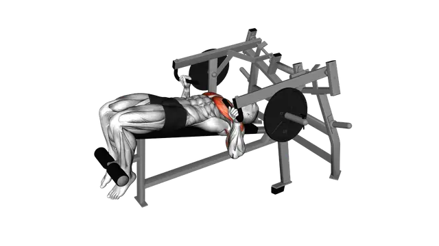 Lever Lying Decline Chest Press (plate loaded) exercise demonstration