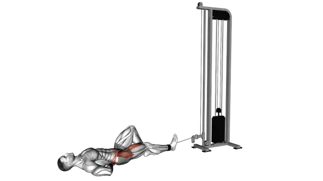 Cable Lying Single Leg Hip Flexion exercise demonstration