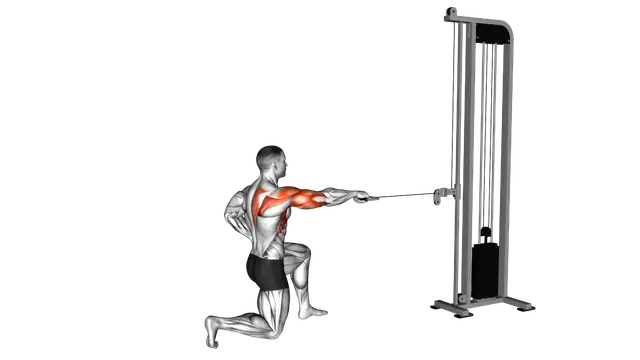 Cable Half Kneeling External Rotation Press exercise demonstration