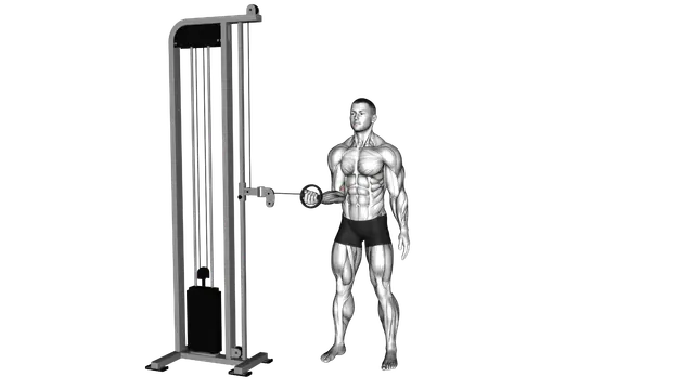 Cable Forearm Pronation exercise demonstration
