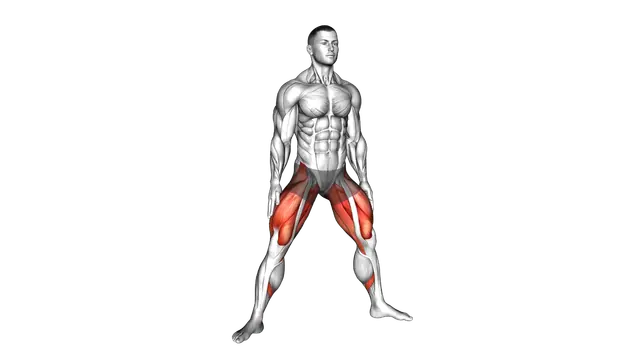 Quick Sumo Squat exercise demonstration