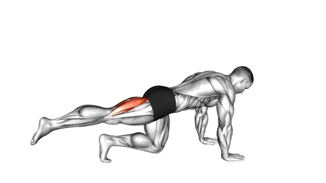 Kneeling Single Hamstring Curl exercise demonstration