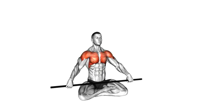 Seated Stick Pass Around Stretch exercise demonstration