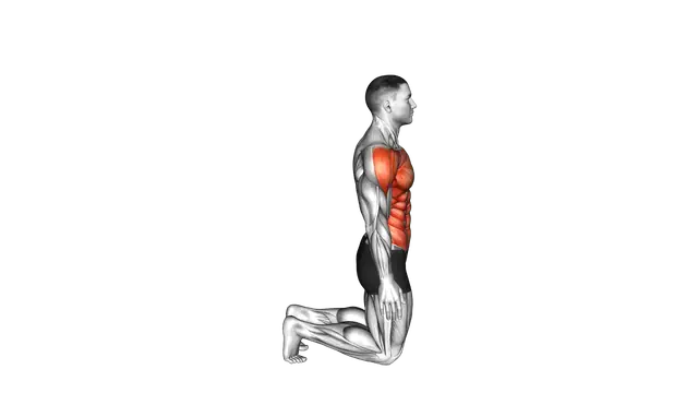Side Camel exercise demonstration