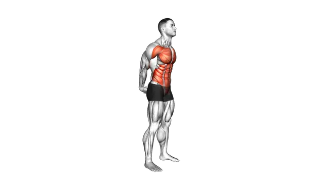 Forward Bend Back Stretch exercise demonstration