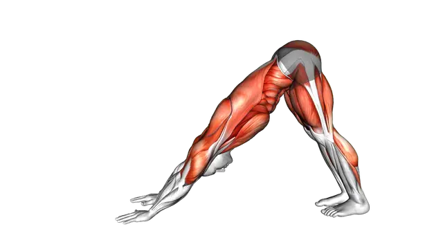 Downward Dog Squat exercise demonstration