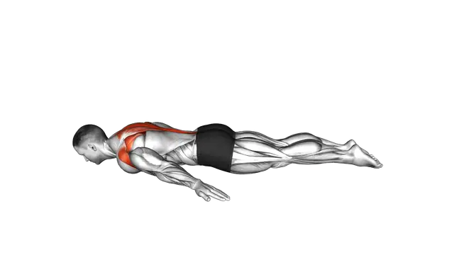 Superman Back Raise exercise demonstration