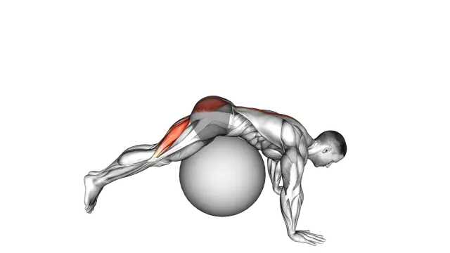 Reverse Hyperextension on Stability Ball exercise demonstration