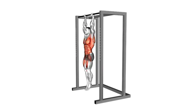 Hanging Tucked Front Lever Hold exercise demonstration