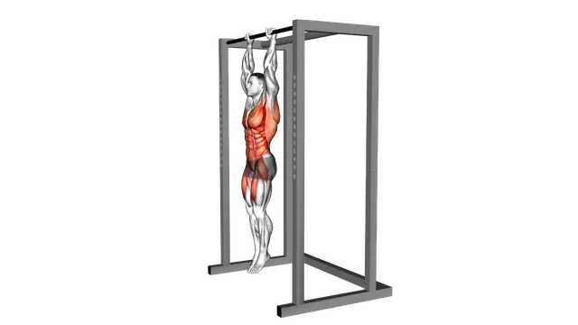 Hanging Front Lever Hold exercise demonstration