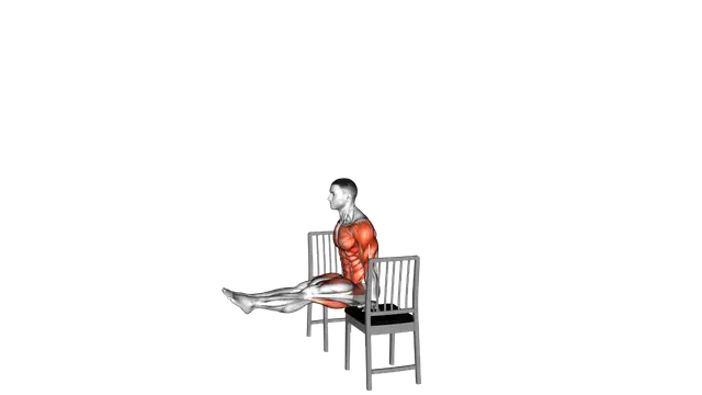 Planche on a Chair exercise demonstration