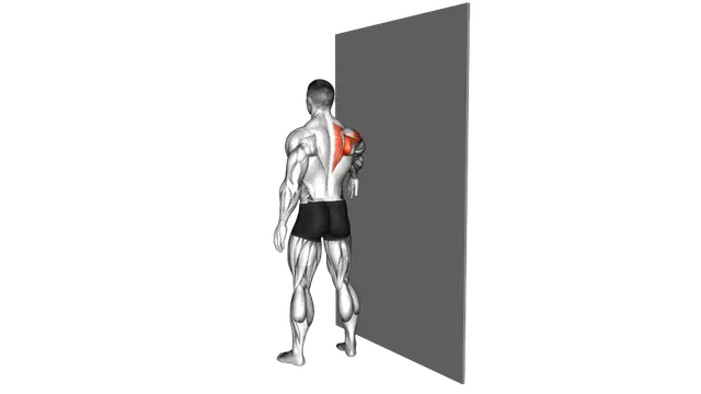 Standing Single Arm Circle on a Wall exercise demonstration